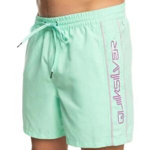 Quicksilver Everyday Vert 16" Volleys | Size: M | Color: Beachglass